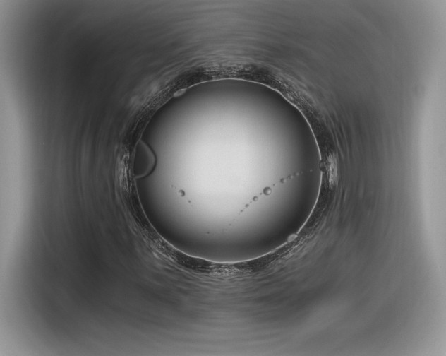 X0000116391059200912021535
