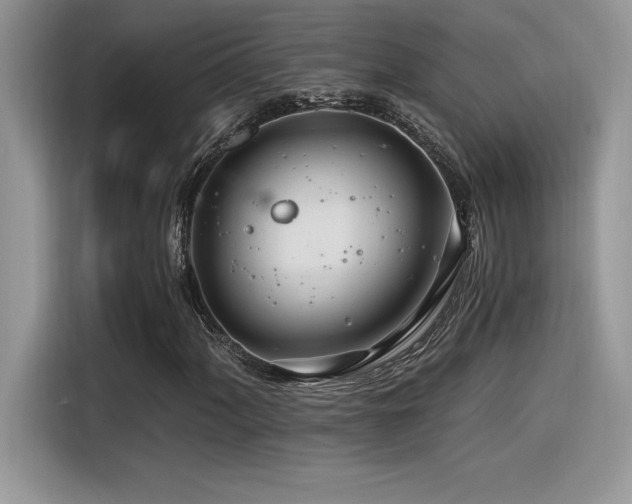 X0000116391060200912021535