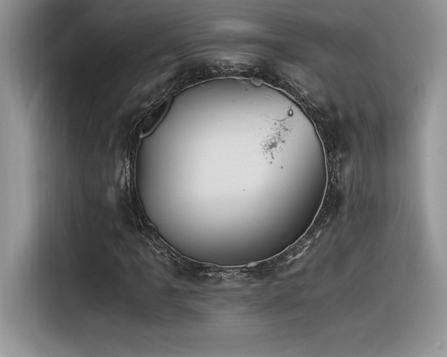 X0000116391061200912021535