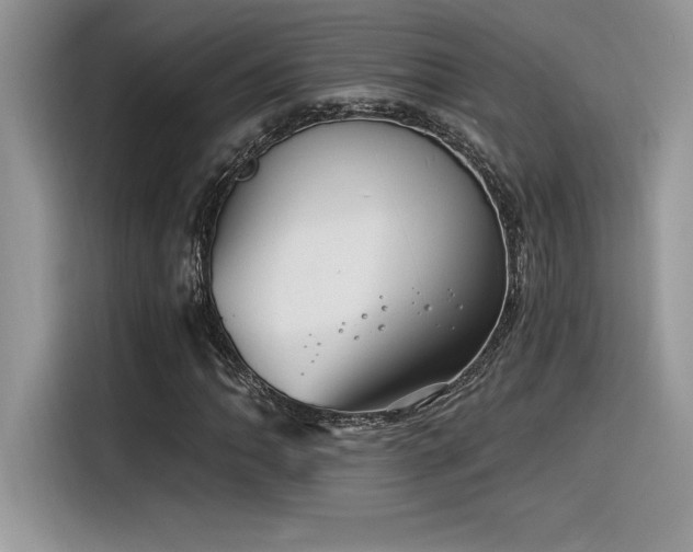 X0000116391062200912021535