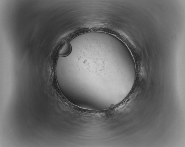 X0000116391063200912021535