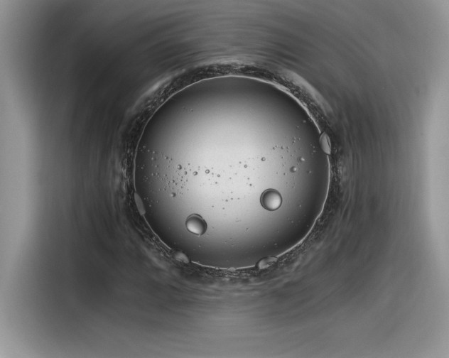 X0000116391064200912021535