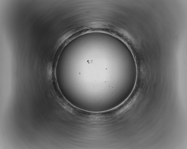 X0000116391065200912021535