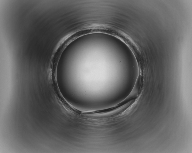 X0000116391066200912021535