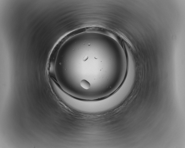 X0000116391068200912021535