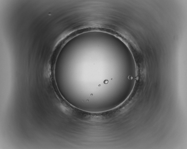 X0000116391070200912021535