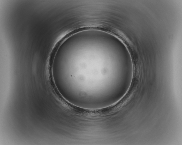 X0000116391071200912021535