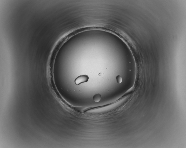 X0000116391072200912021535
