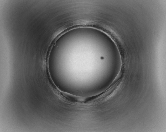 X0000116391073200912021535