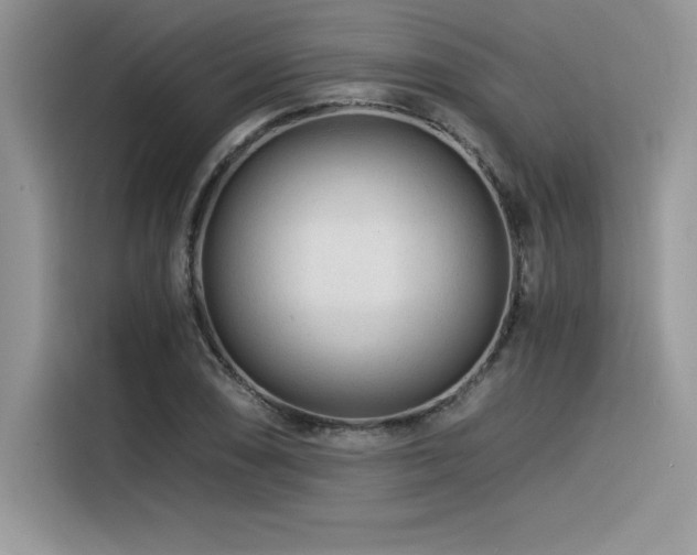 X0000116391074200912021535