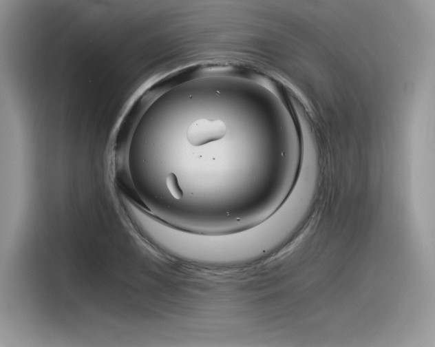 X0000116391075200912021535