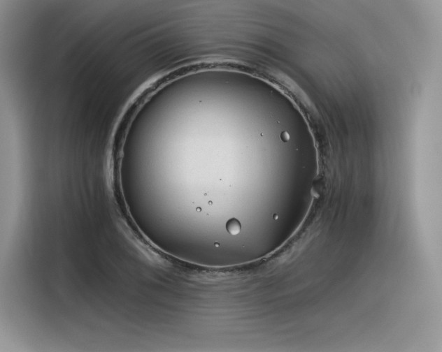 X0000116391076200912021535