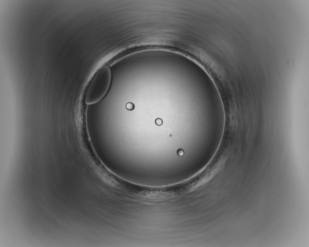 X0000116391077200912021535