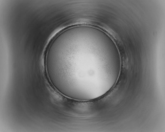 X0000116391078200912021535