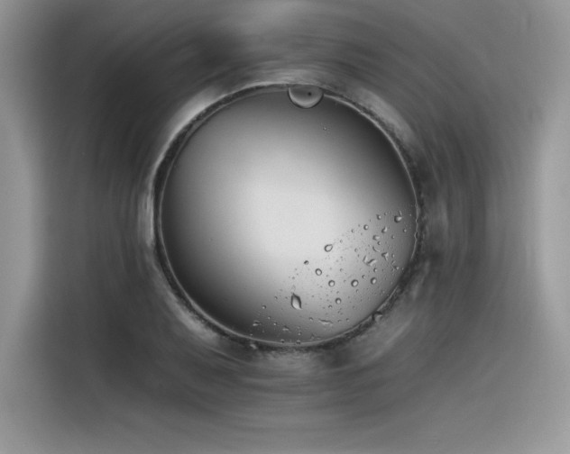 X0000116391079200912021535