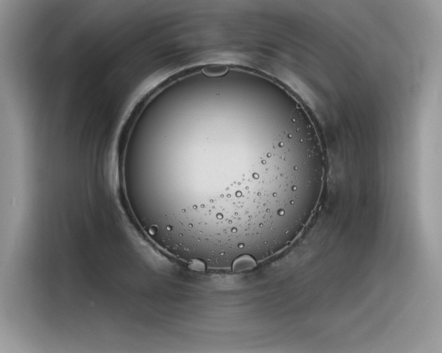 X0000116391080200912021535