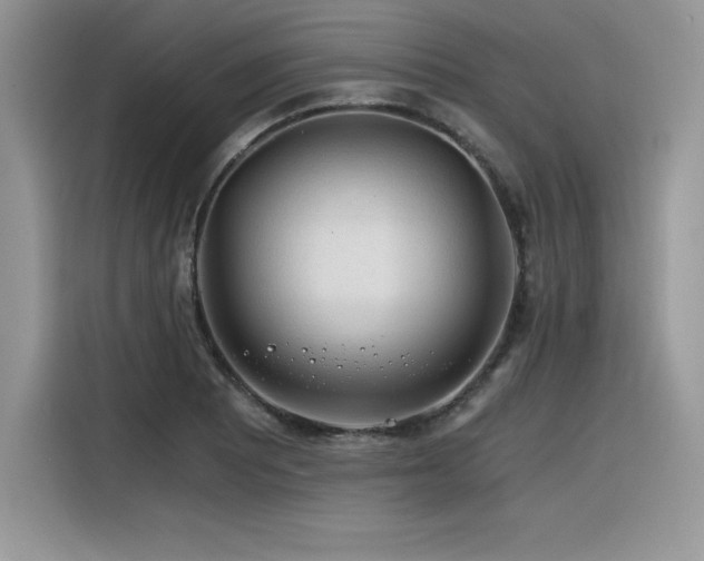 X0000116391081200912021535