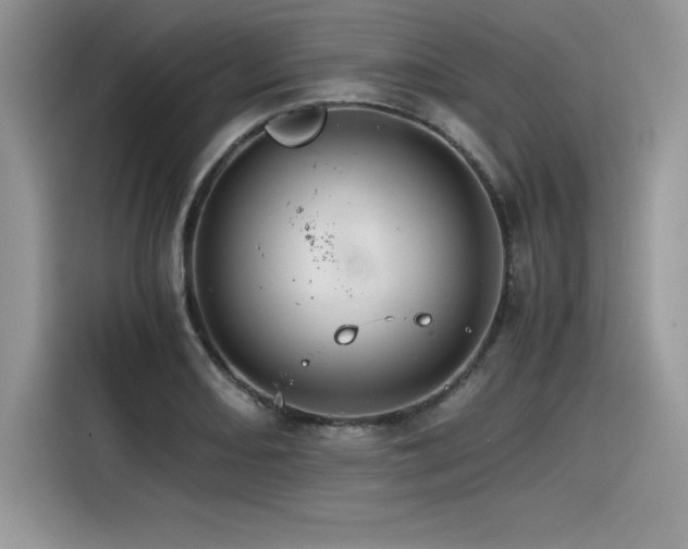 X0000116391082200912021535