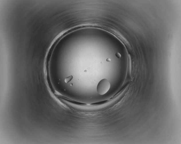 X0000116391084200912021535