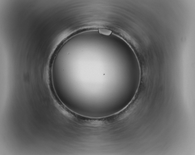 X0000116391085200912021535