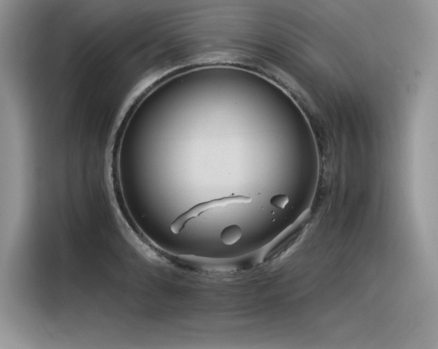 X0000116391086200912021535