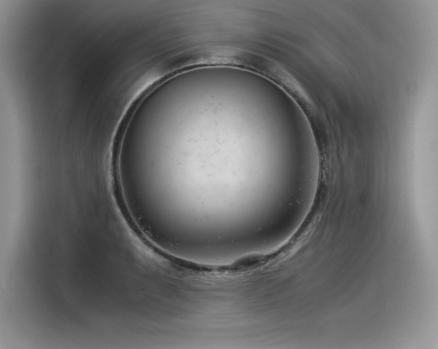 X0000116391087200912021535