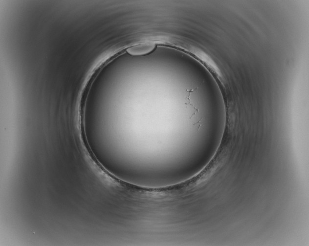 X0000116391088200912021535