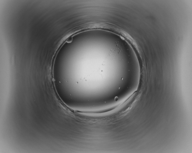 X0000116391089200912021535