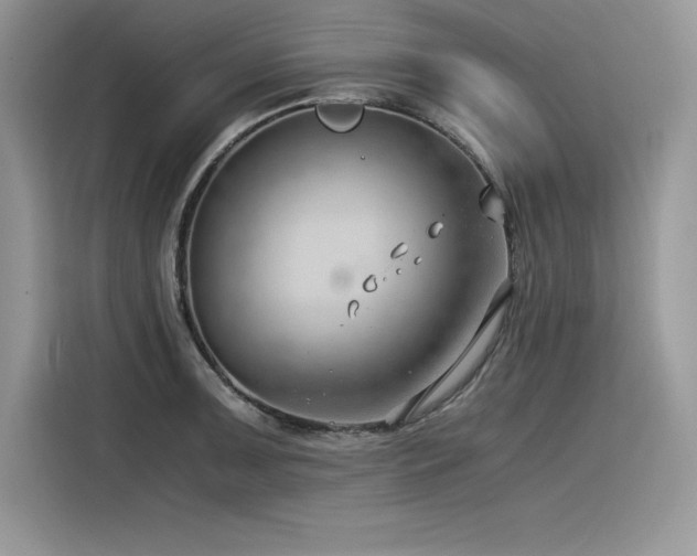 X0000116391091200912021535