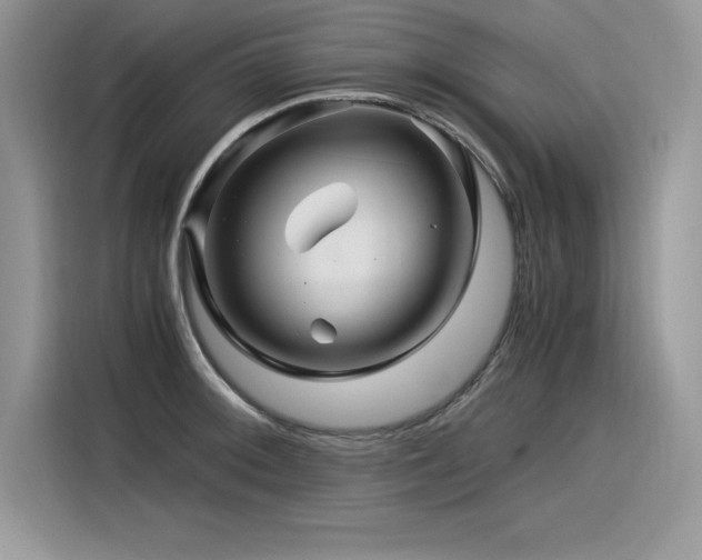 X0000116391092200912021535