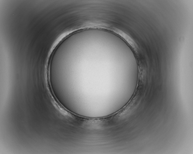 X0000116391094200912021535