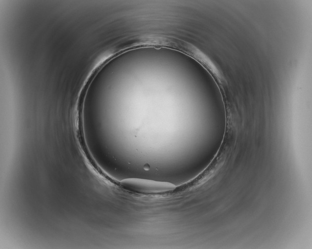 X0000116391095200912021535