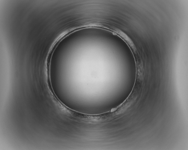 X0000116391096200912021535