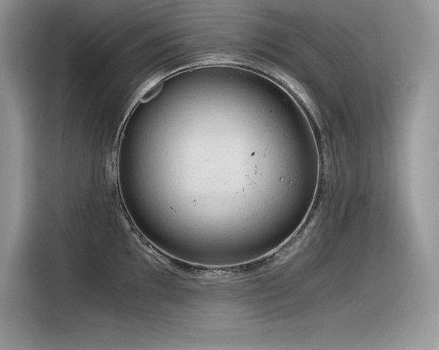 X0000116391097200912021535