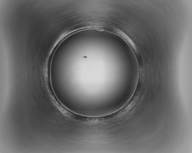 X0000116391099200912021535