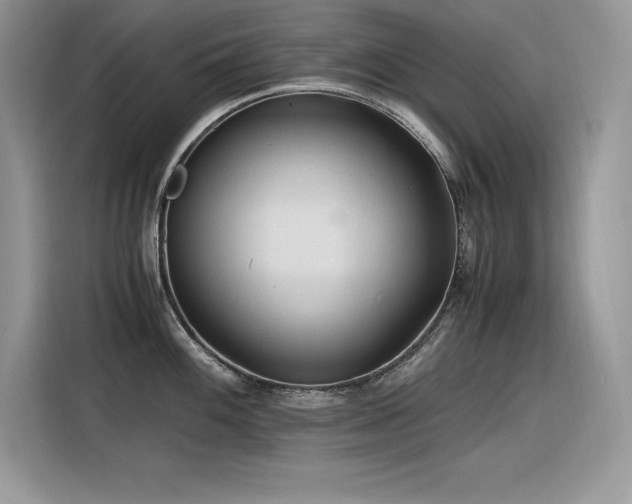 X0000116391100200912021535