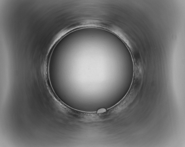 X0000116391101200912021535
