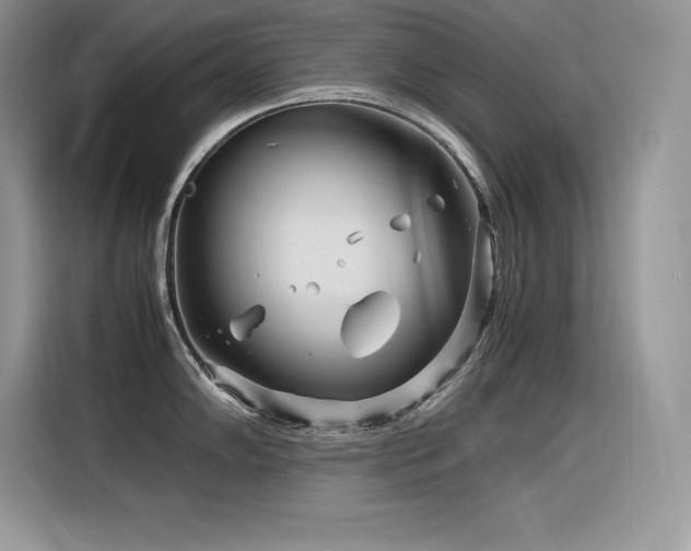 X0000116391102200912021535