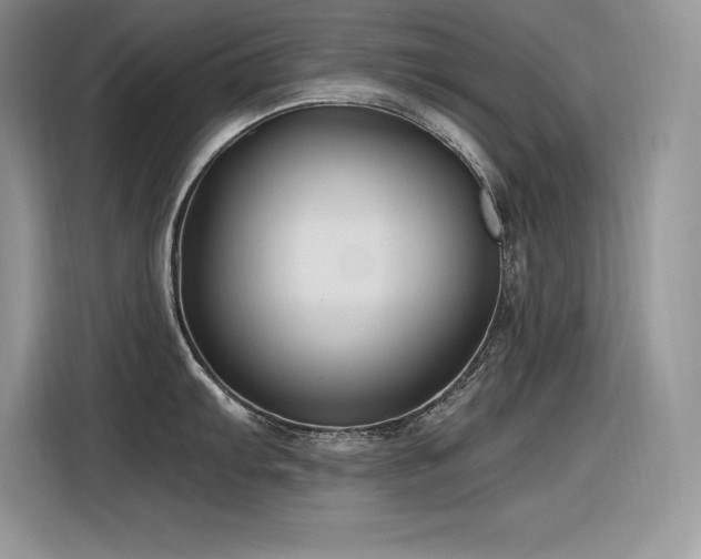 X0000116391103200912021534