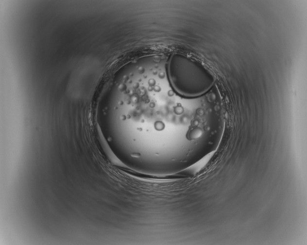X0000116391106200912021534