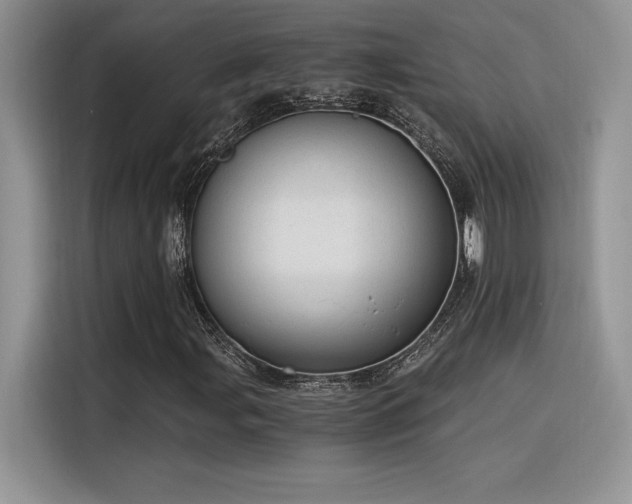 X0000116391107200912021534