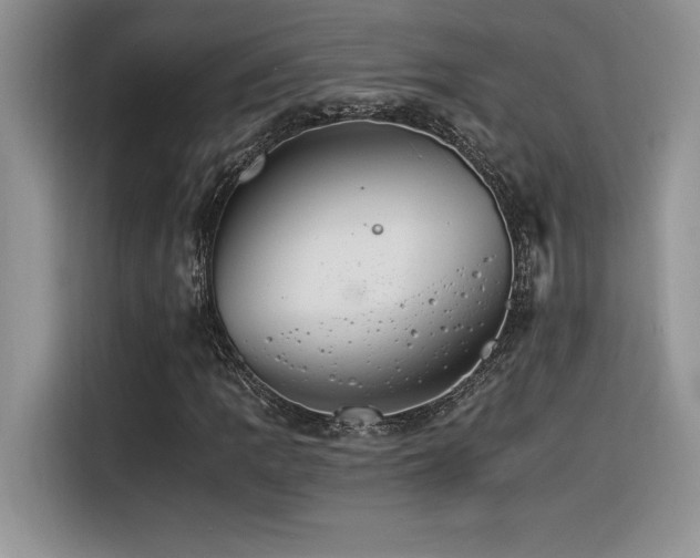 X0000116391109200912021534