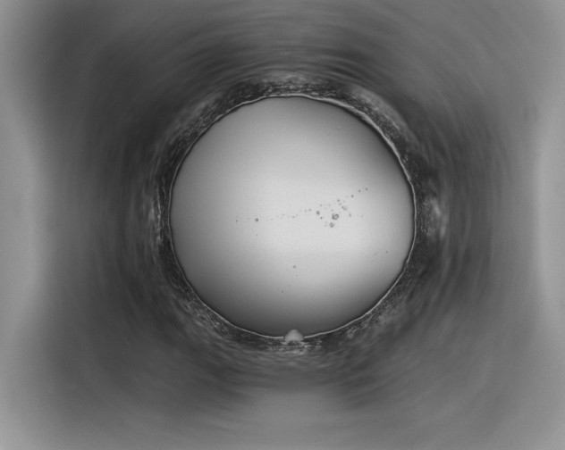X0000116391111200912021534