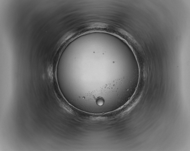 X0000116391113200912021534