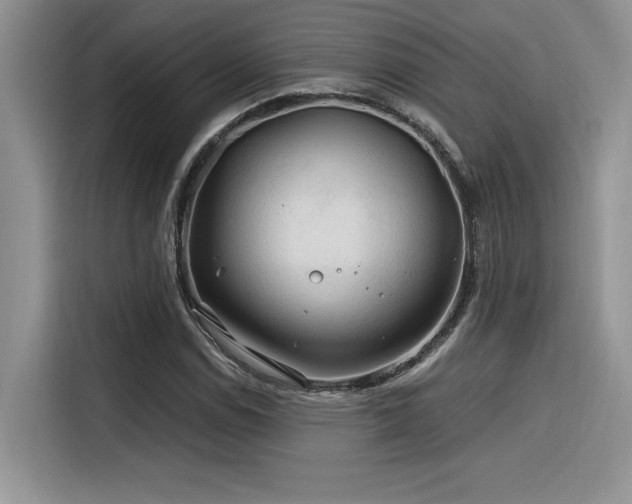 X0000116391114200912021534