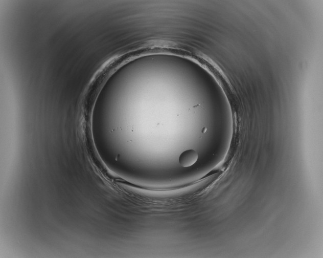 X0000116391115200912021534