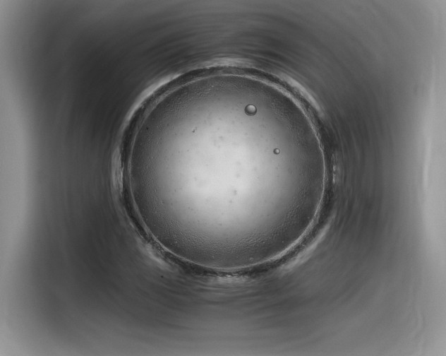 X0000116391117200912021534