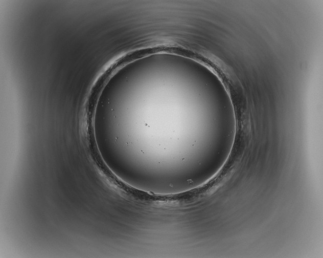X0000116391118200912021534