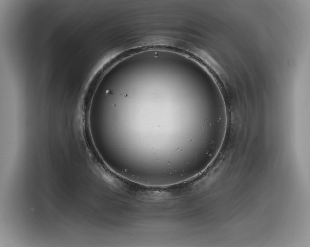 X0000116391119200912021534
