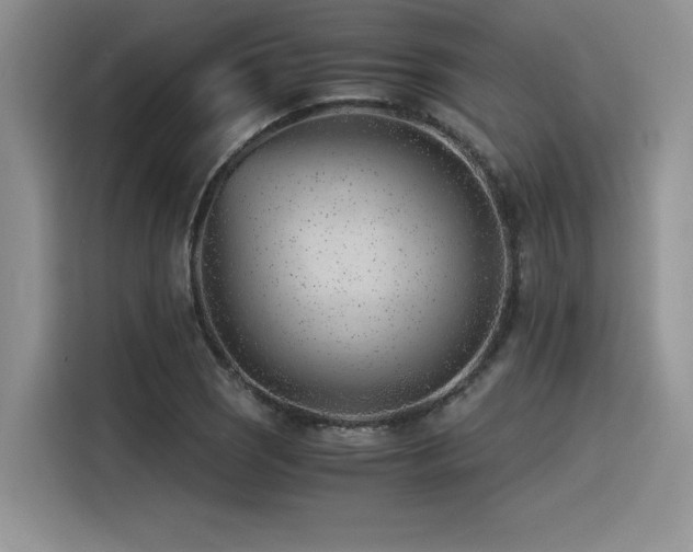 X0000116391121200912021534